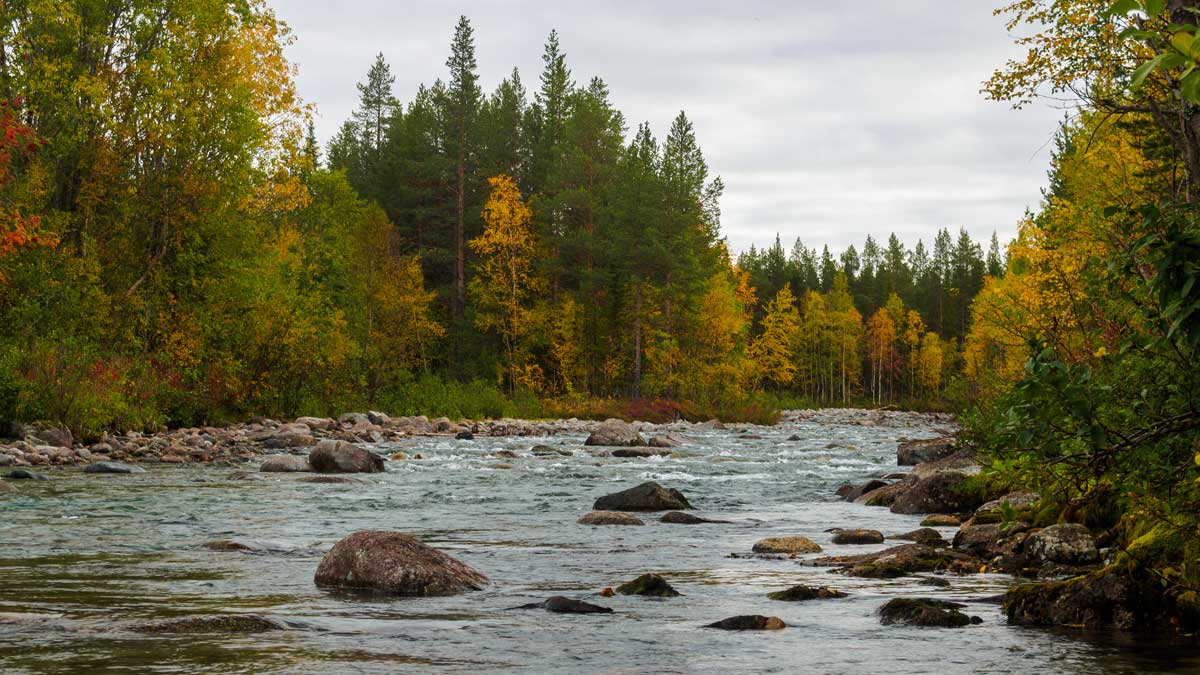 Hänsyn till vatten – en del i Träffar på distans om miljöhänsyn som Skogsstyrelsen arrangerar.
