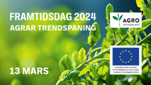 Framtidsdag 2024 EU-logo
