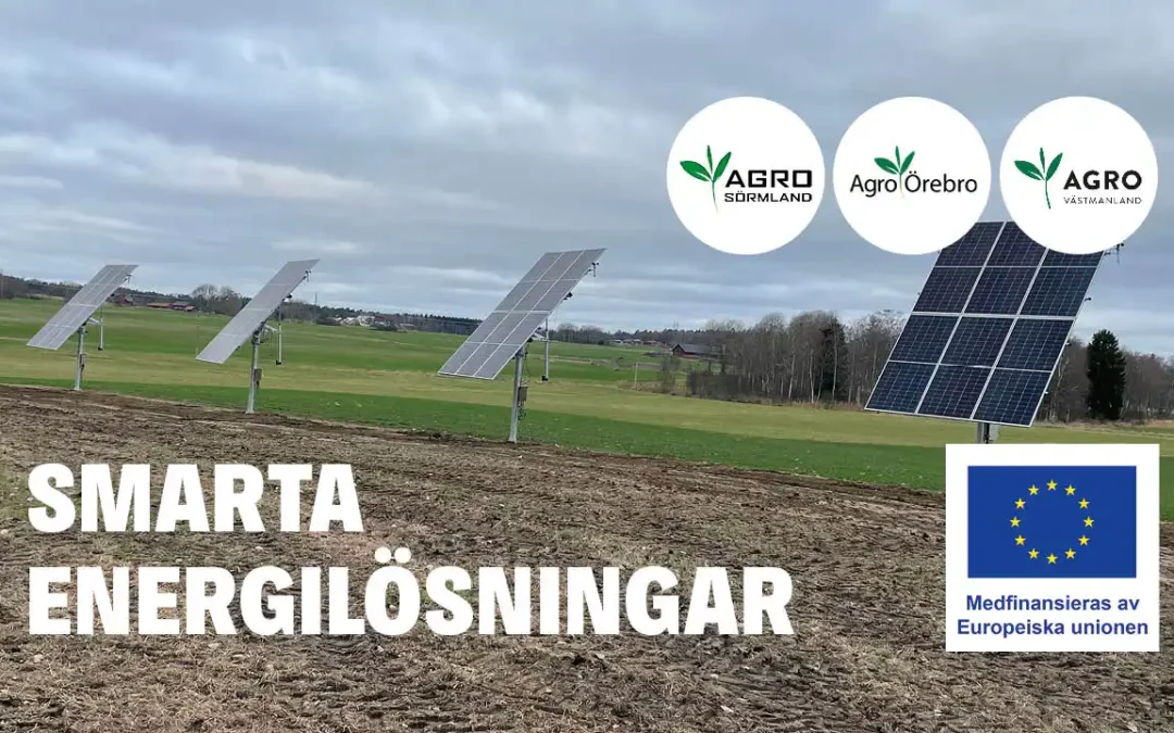 Smarta, förnyelsebara energilösningar för landsbygdsföretag