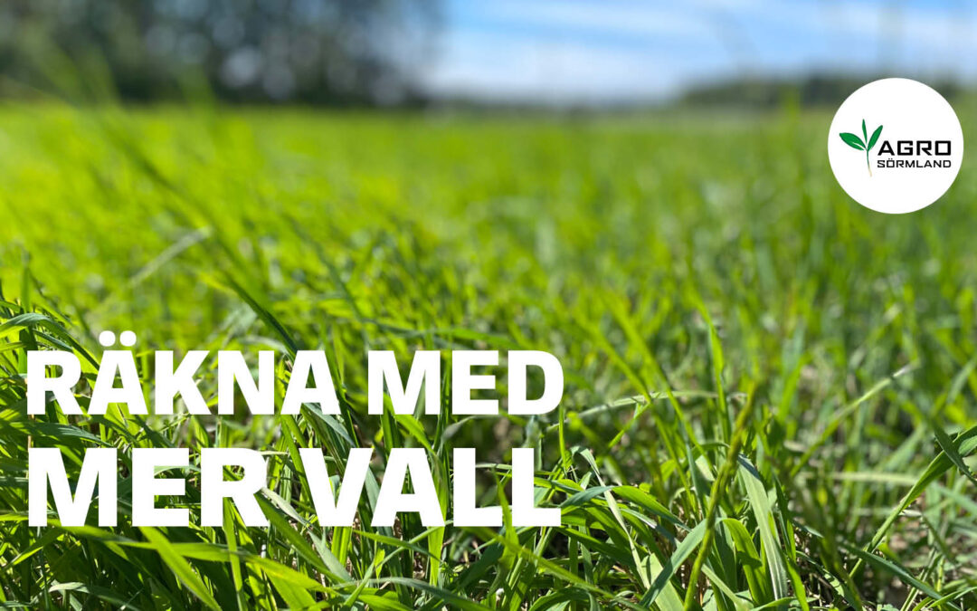 Räkna med mer vall