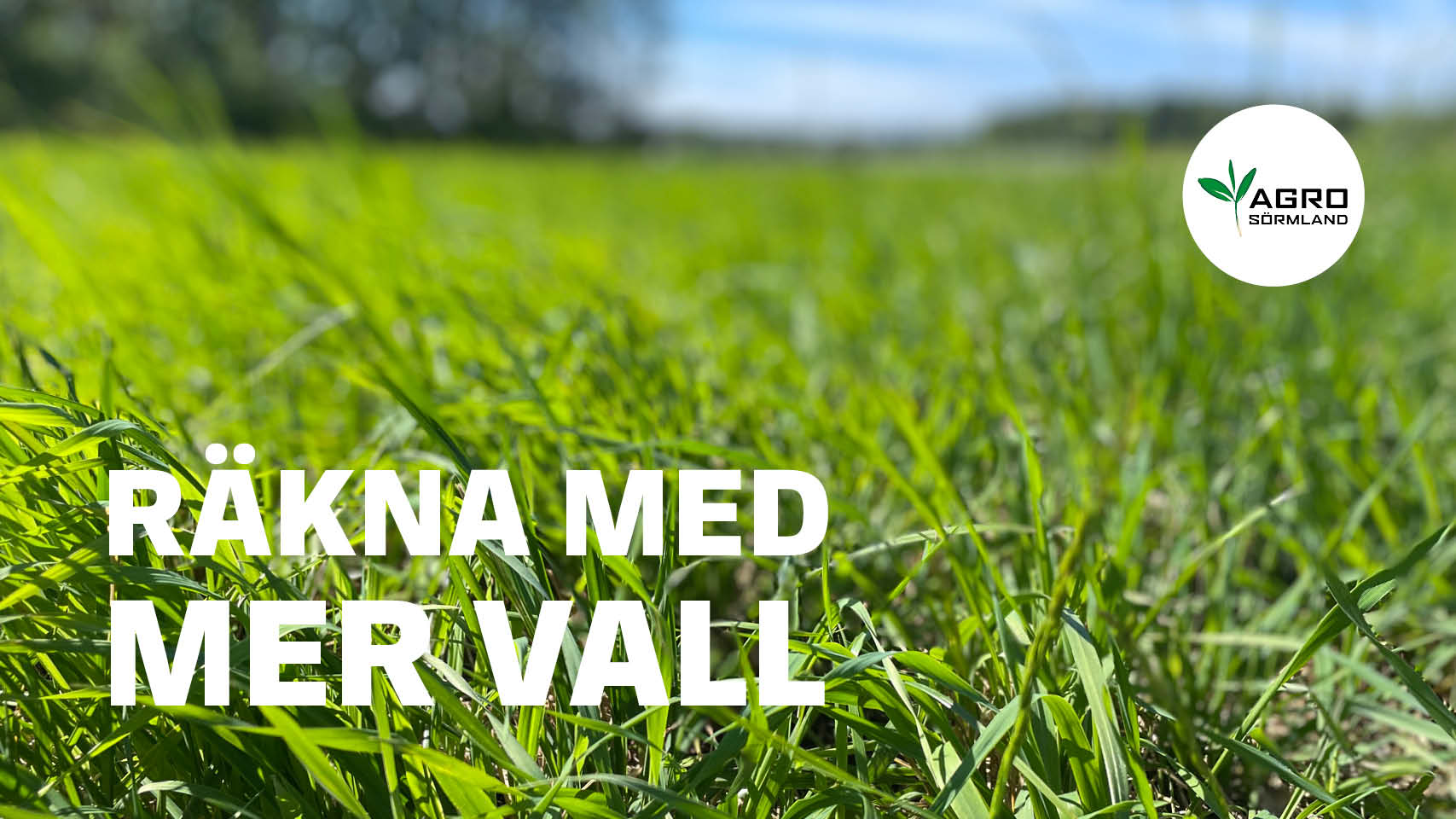 Räkna med mer vall