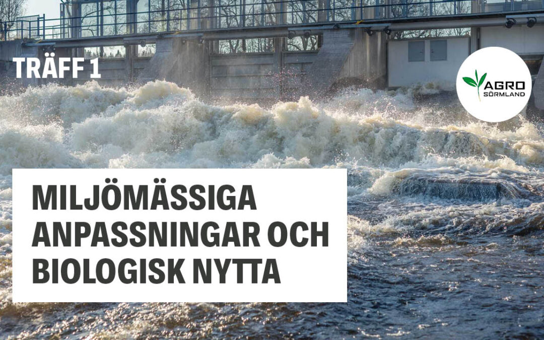 Miljömässiga anpassningar och biologisk nytta