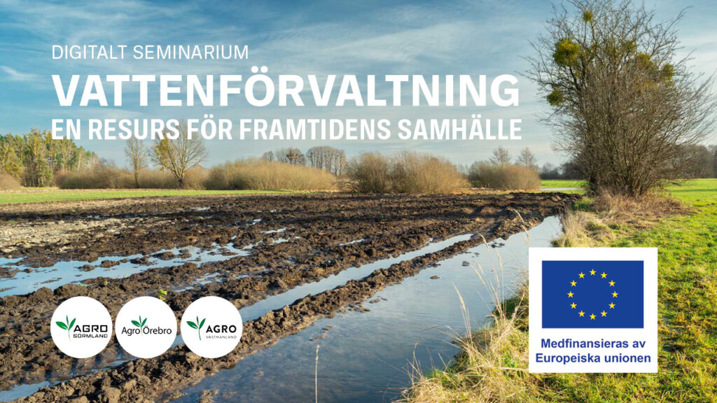 Vattenförvaltning