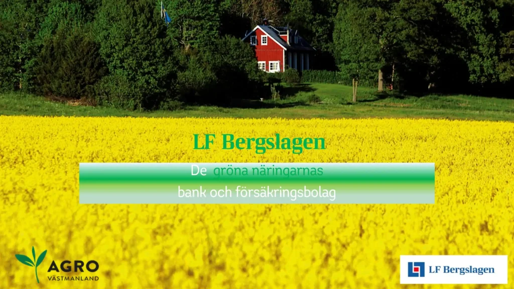 LF Bergslagen