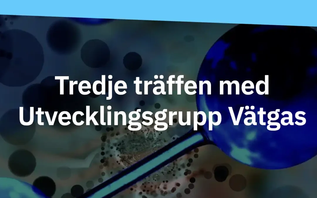 Säkerhet i systemet och tillstånd
