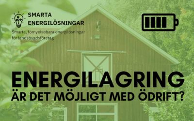 Är energilagring nyckeln till framtidens ödrift?