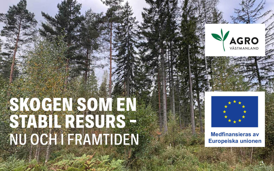 Skogen som en stabil resurs – nu och i framtiden