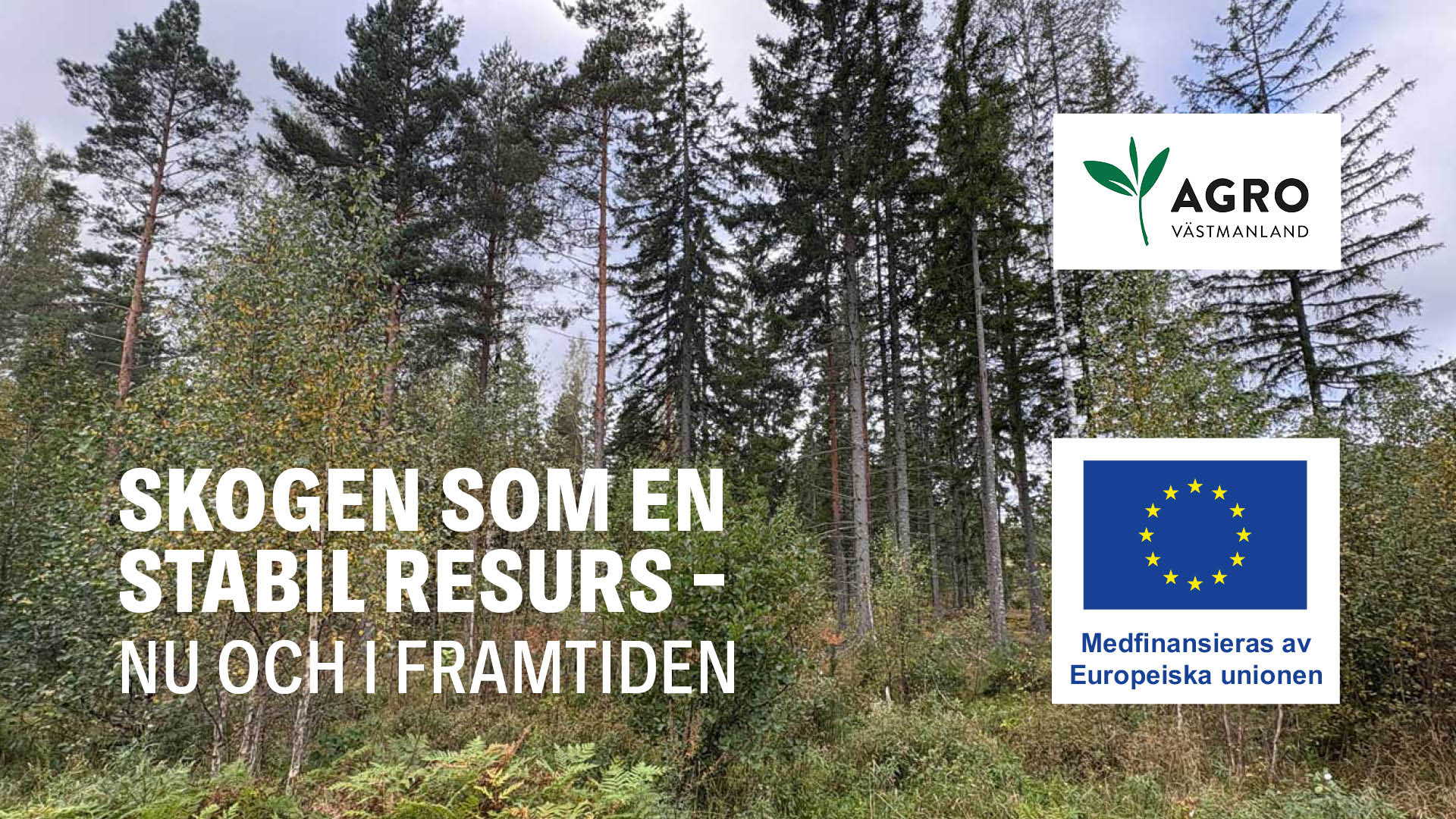 Skogen som en stabil resurs – nu och i framtiden