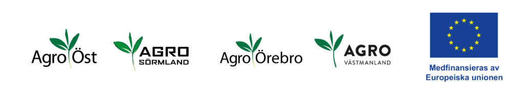 Logobild-Variationsrikt-skogsbruk-ALLA