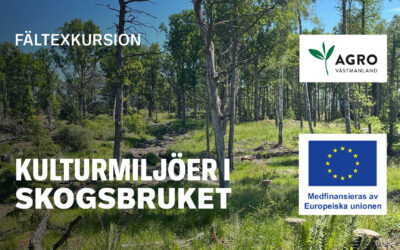 Save the date – Kulturmiljöer i skogsbruket