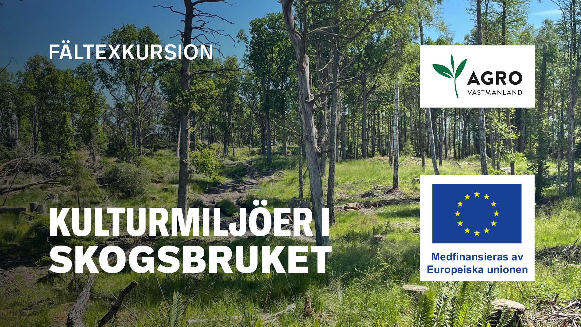 Kulturmiljöer i skogsbruket