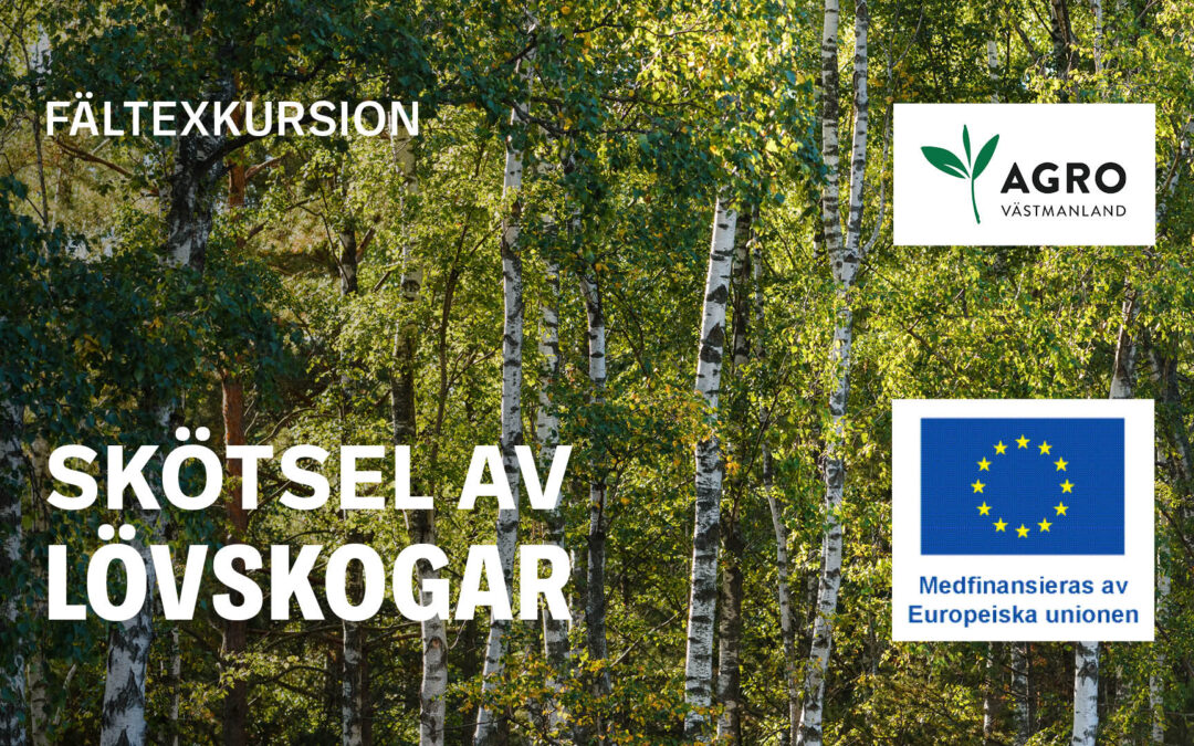 Skötsel av lövskogar