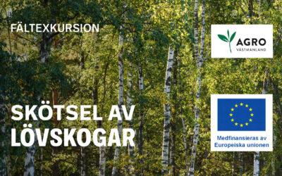 Save the date – Skötsel av lövskogar