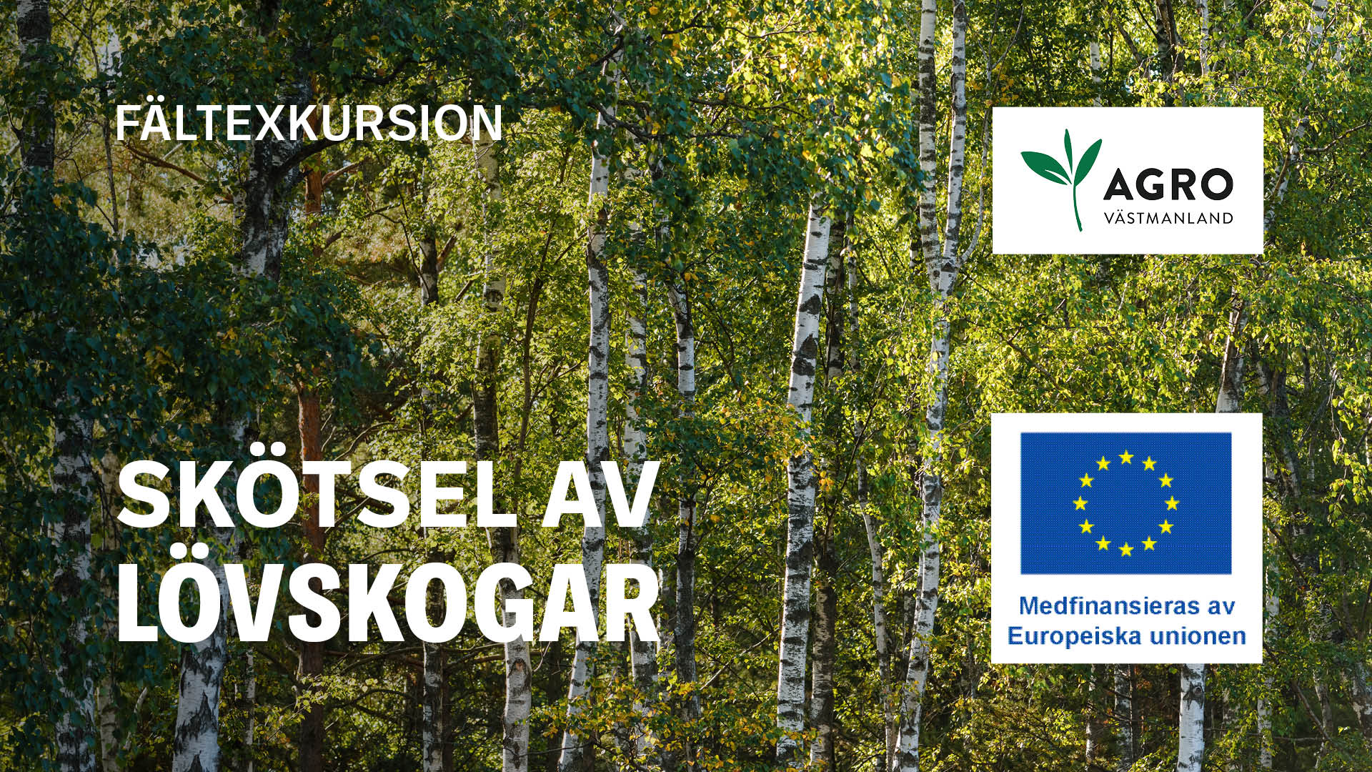 Skötsel av lövskogar