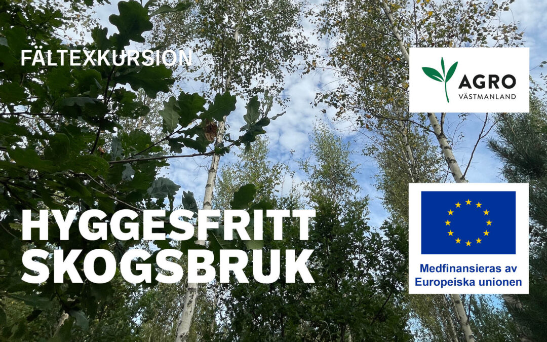 Hyggesfritt Skogsbruk – Fältexkursion