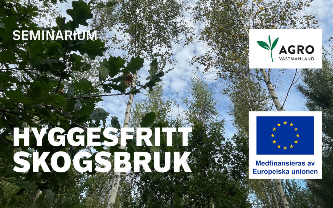 Hyggesfritt Skogsbruk – Seminarium