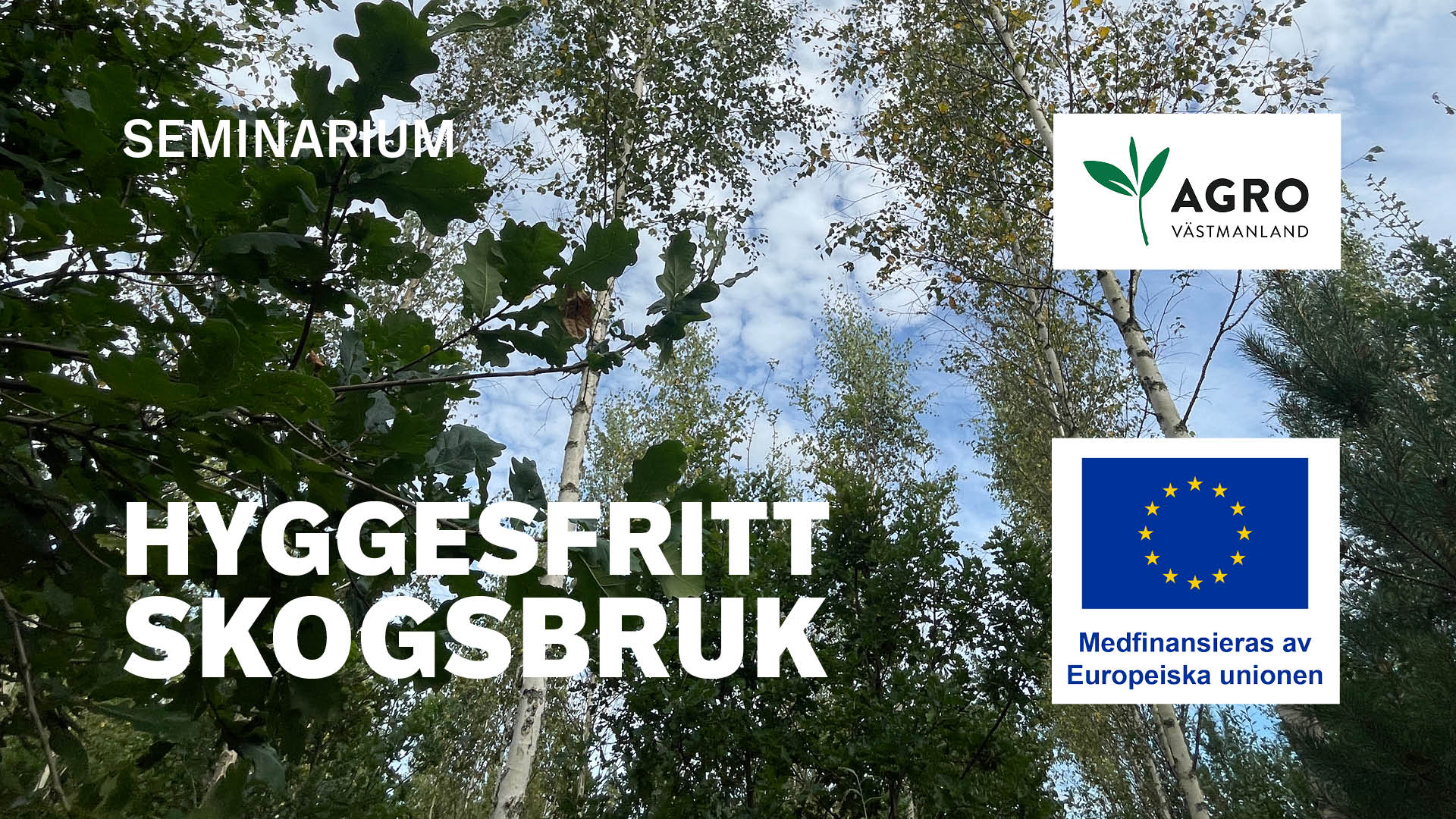 Hyggesfritt Skogsbruk – Seminarium
